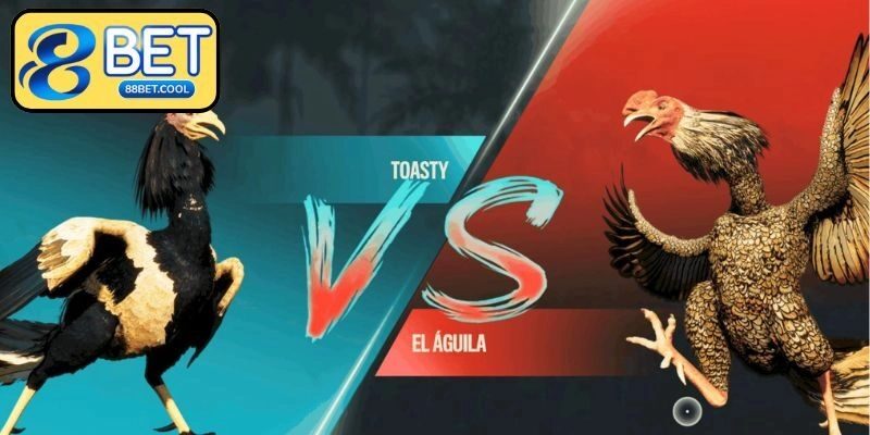 Trải nghiệm đặt cược trực tuyến nhanh, dễ dàng