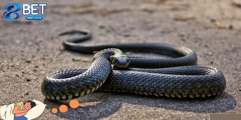 Những con lô đề may mắn khi mơ thấy rắn