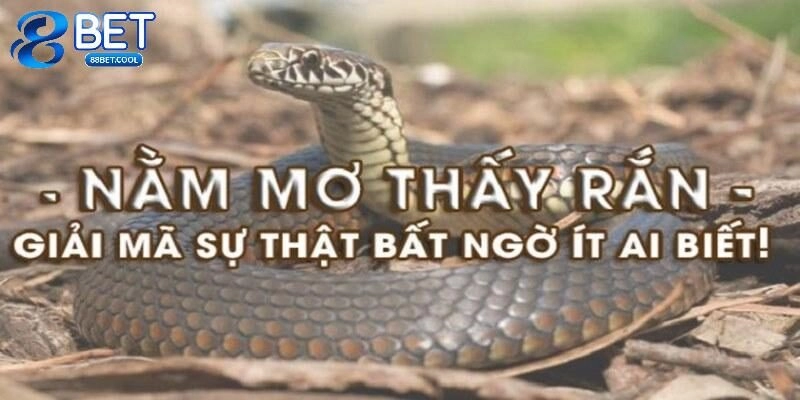 Giải mã chi tiết cụ thể từng giấc mơ thấy rắn