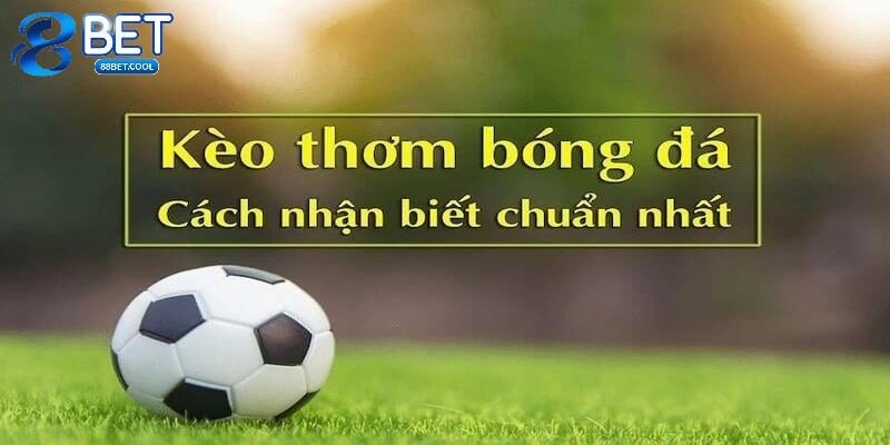 Kinh nghiệm đặt cược kèo thơm dễ thắng