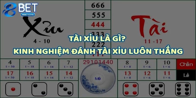 Bật mí cách chơi tài xỉu online cực chi tiết