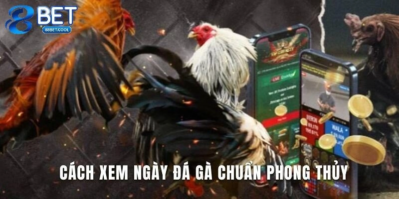 Xem ngày đá gà theo quy luật 12 con giáp